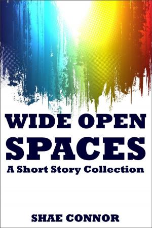 Book cover of Wide Open Spaces