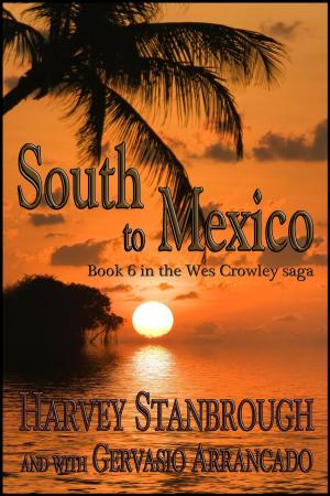 Cover of the book South to Mexico by Eric Stringer