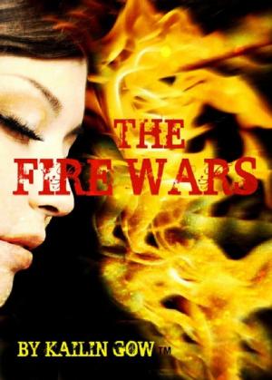 Book cover of Fire Wars