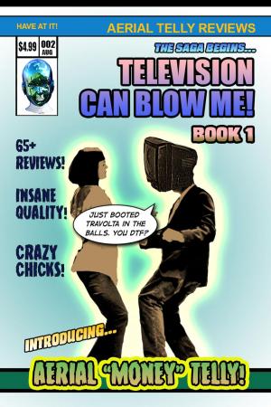 Cover of the book Television Can Blow Me by Christian Blümelhuber