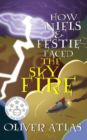 bigCover of the book How Niels and Festie Faced the Skyfire by 