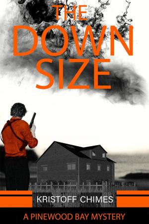 Book cover of The Downsize