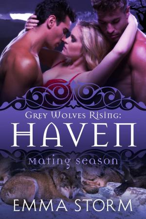 Cover of the book Haven by Alaine Allister