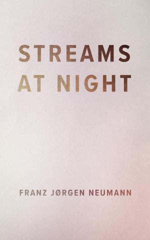 Cover of the book Streams At Night by Clara Szalai