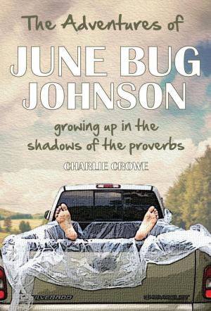 Cover of the book The Adventures of June Bug Johnson: Growing Up in the Shadows of the Proverbs by Gary Overholt