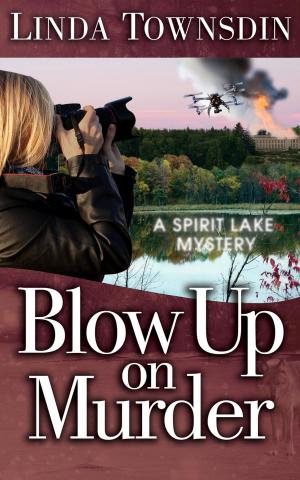 Book cover of Blow Up on Murder
