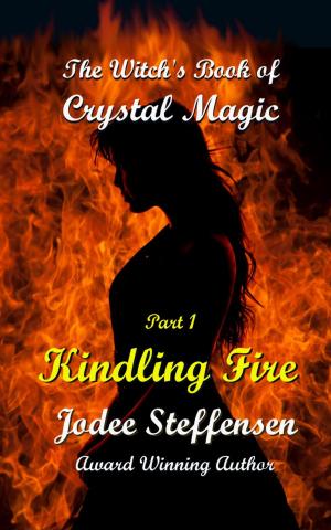 Cover of the book Kindling Fire by Megan Crewe