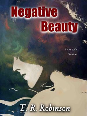 Cover of the book Negative Beauty by Stacey Scott Mae