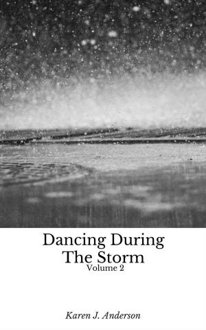 Book cover of Dancing During The Storm Vol 2