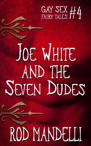 Cover of the book Joe White & The Seven Dudes by Steve Sem-Sandberg