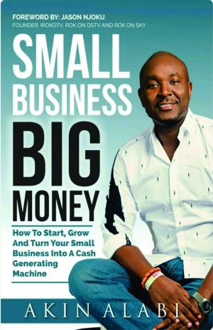 Cover of the book Small Business Big Money by Millionaire MBA