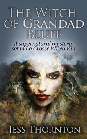 bigCover of the book The Witch of Grandad Bluff by 