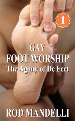 Cover of the book The Agony of De Feet by R. M. Vance