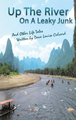 Cover of the book Up the River on a Leaky Junk and Other Life Tales by Robert Parlante