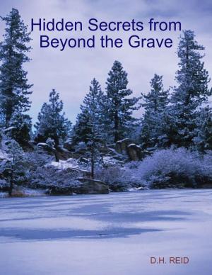 Cover of the book Hidden Secrets from Beyond the Grave by Michael Cimicata