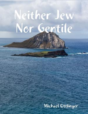 Cover of the book Neither Jew Nor Gentile by Bob Oros