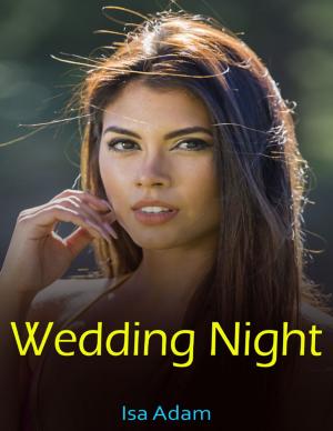 Cover of the book Wedding Night by Kivutar Amy Koski