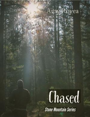 Cover of the book Chased Stone Mountain Series by Jeff Robinson
