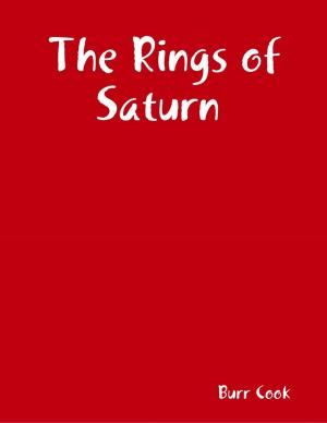 Cover of the book The Rings of Saturn by Raven Kaldera