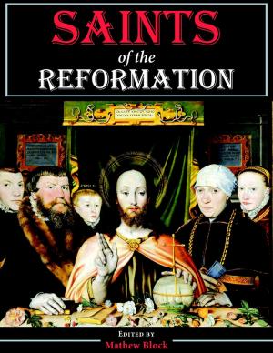 Cover of the book Saints of the Reformation by Dakota-Luise Wolf