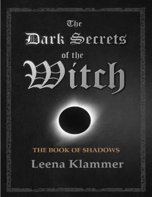 Cover of the book The Dark Secrets of the Witch: The Book of Shadows by Karen Deal Robinson