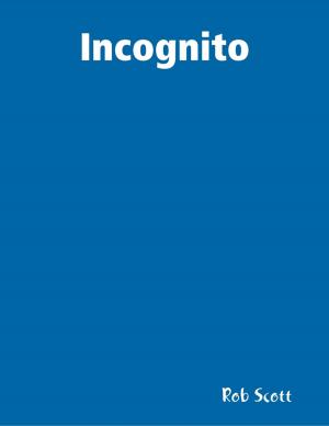 Cover of the book Incognito by Joshua Mendrala