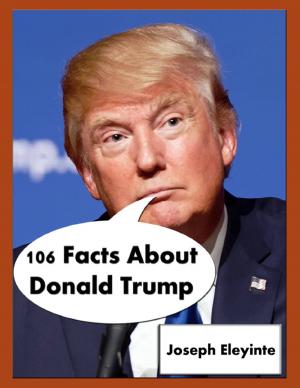 Cover of the book 106 Facts About Donald Trump by Vanessa Carvo