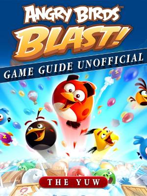 Cover of Angry Birds Blast Game Guide Unofficial