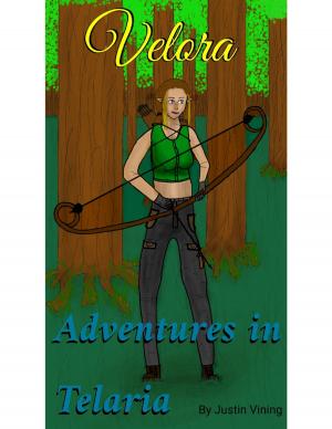 Cover of the book Adventures in Telaria - Velora by Spirit Webb