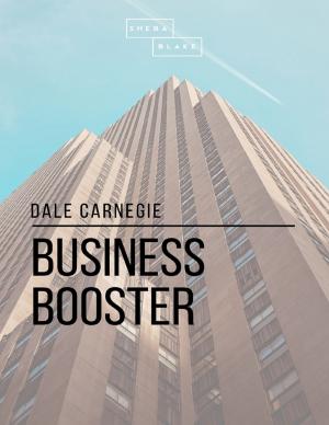 bigCover of the book Business Booster by 