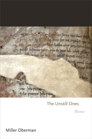 Cover of the book The Unstill Ones by Hans-Bernd Schäfer, Robert D. Cooter