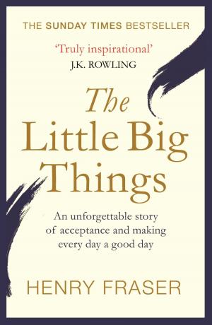 Cover of the book The Little Big Things by Stephen Levine