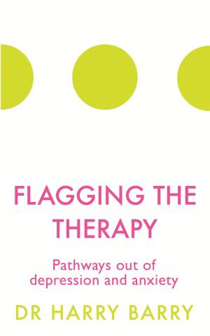 Cover of the book Flagging the Therapy by Erel Shalit
