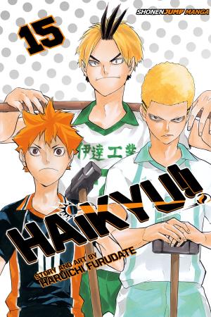 Cover of the book Haikyu!!, Vol. 15 by Yoshiki Nakamura