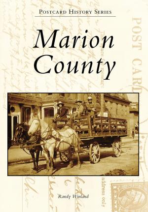 Cover of the book Marion County by Gregory D. Sumner