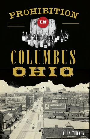 Cover of the book Prohibition in Columbus, Ohio by Walter P. Rybka