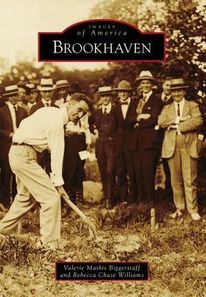 Cover of the book Brookhaven by Steve Krueger