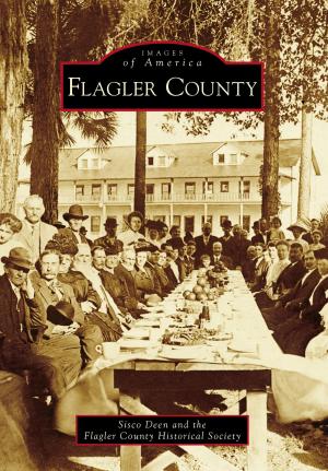 Cover of the book Flagler County by Nanci Monroe Kimmey, Georgia Kemp Caraway