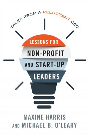 Cover of the book Lessons for Nonprofit and Start-Up Leaders by Brian L. Benzel, Kenneth E. Hoover