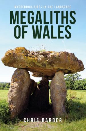 bigCover of the book Megaliths of Wales by 