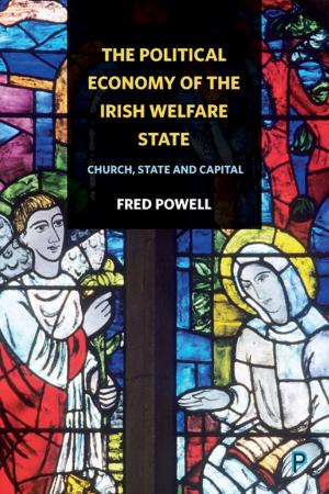 Cover of the book The political economy of the Irish welfare state by 