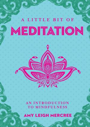 Cover of the book A Little Bit of Meditation by John Matthews, Mark Ryan