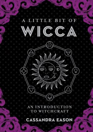 Cover of the book A Little Bit of Wicca by David Steindl-Rast, Louie Schwartzberg, Patricia Carlson