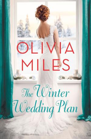 Cover of the book The Winter Wedding Plan by David Brandt, Robert J. Kriegel