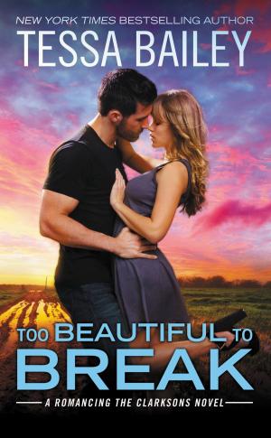 Cover of the book Too Beautiful to Break by Elizabeth Hoyt writing as Julia Harper