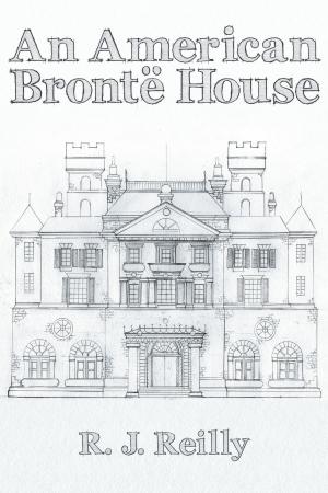 Cover of the book An American Brontë House by E. Dan Stevens
