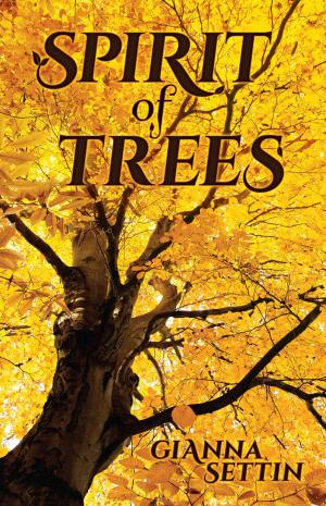 Cover of the book Spirit of Trees by Barbara Ghoston