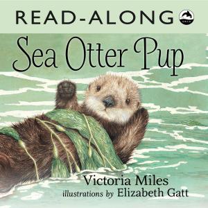 Cover of the book Sea Otter Pup Read-Along by Ian McAllister, Alex Van Tol