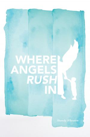 Cover of the book Where Angels Rush In by Gwen Prankard