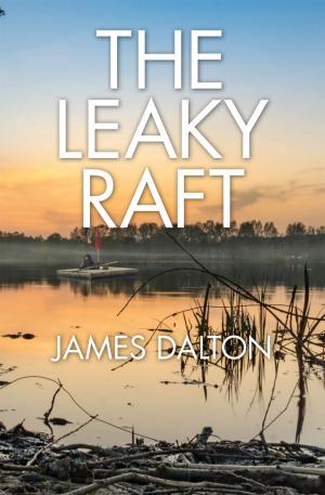 Cover of the book The Leaky Raft by Tania Hernandez